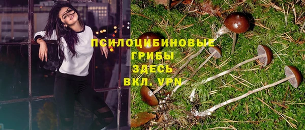 герыч Зеленодольск