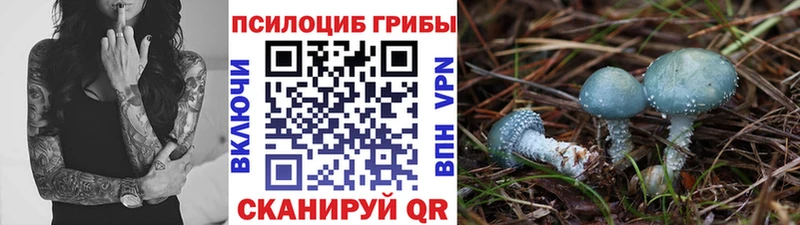 закладки  Арзамас  kraken ССЫЛКА  Псилоцибиновые грибы Psilocybe 